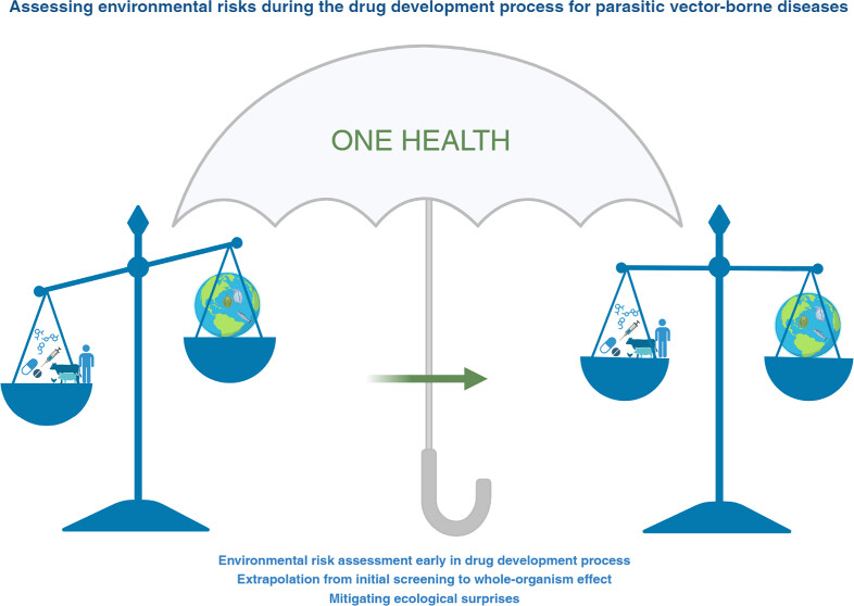 Assessing Environmental Risks during the Drug Development Process for Parasitic Vector-Borne Diseases: A Critical Reflection