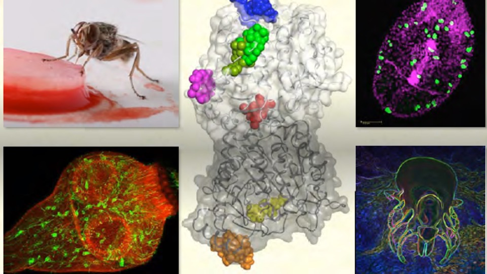 24th Drug Design & Development Seminar (DDDS)