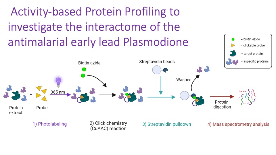 British Society for Proteome  Research-European Proteomics Association (BSPR-EUPA) 2023 Annual  Scientific Meeting- poster presentation