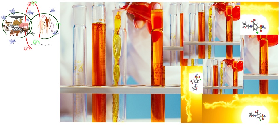 Ecotoxicology in drug product development and environmental impact assessment