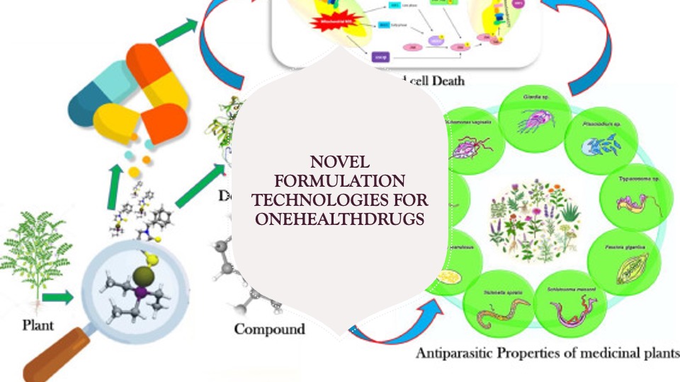 Formulation technologies for human and veterinary VBDs to reduce dose and environmental impact