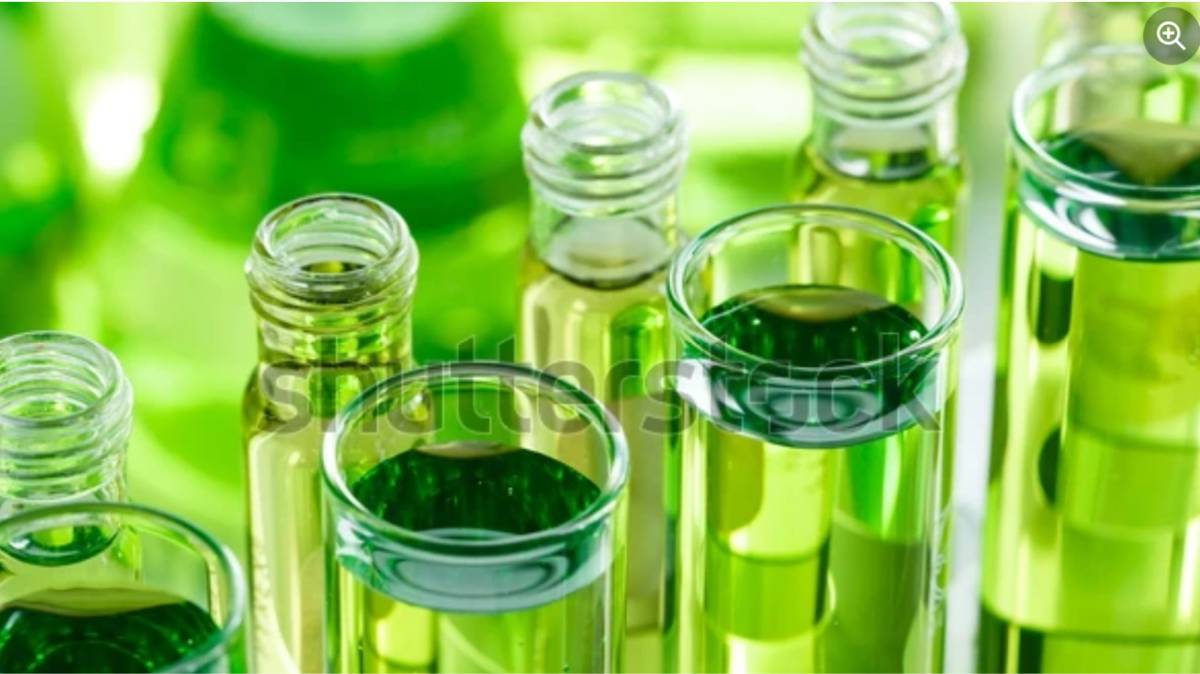 Innovative sustainable approaches in antiparasitic drug discovery: towards a One Health approach