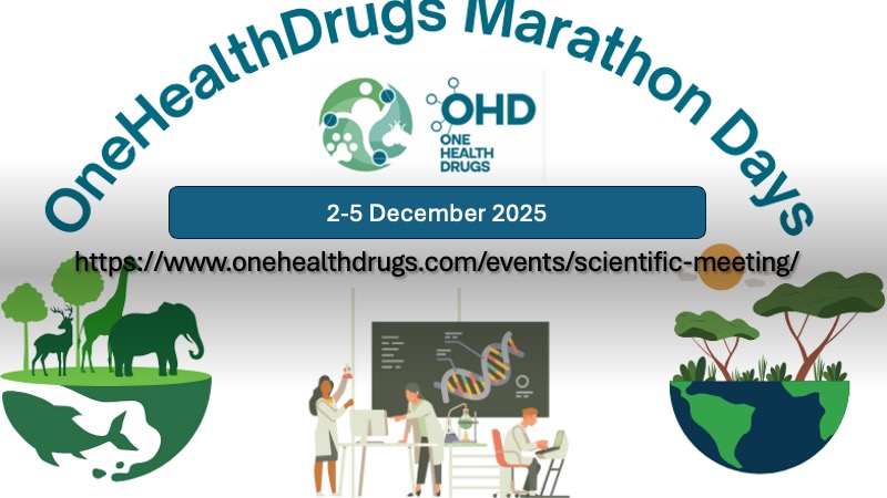OHD Marathon Days 2-5 December 2025