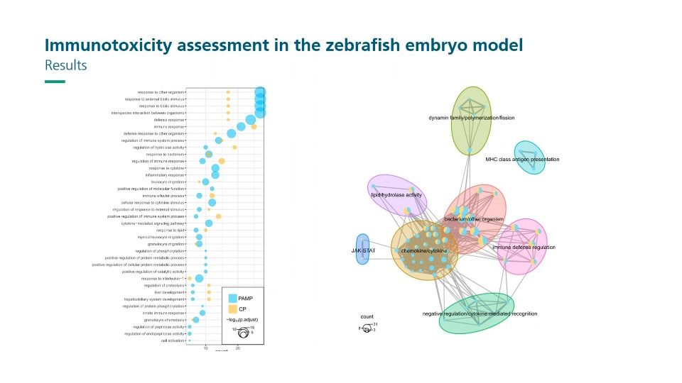 Omics technologies as a new tool in ecotoxicology