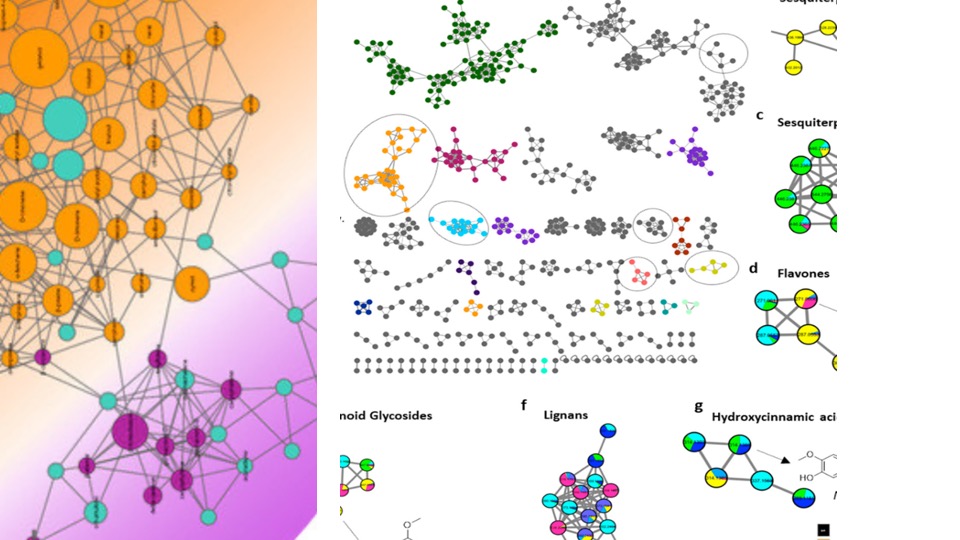 Hits and leads chemical space and collection in freely available databases