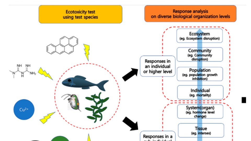 STSM - In-vitro and in-silico analysis of neglected infectious disease compounds from an ADMET and ecotoxicology perspective