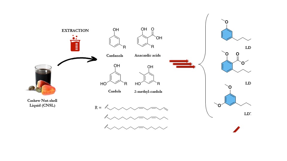 Sustainable biocatalytic derivatization of antiparasitic natural lipids and cashew nut-shell liquid (CNSL) derivatives using unspecific peroxygenase (UPOs) enzymes