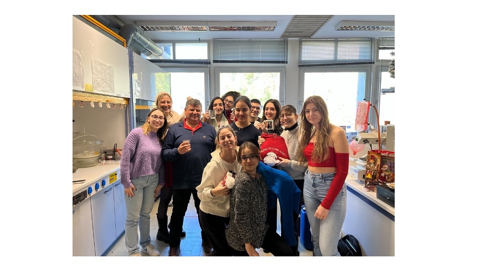 Prof. C. M. Athanassopoulos _Synthetic Organic Chemistry Lab description_UPatras