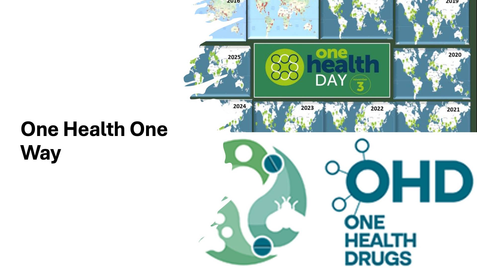 World One Health Day November 2 - 2026 paper&pictures collection send to onehealthdrugs.events@gmail.com